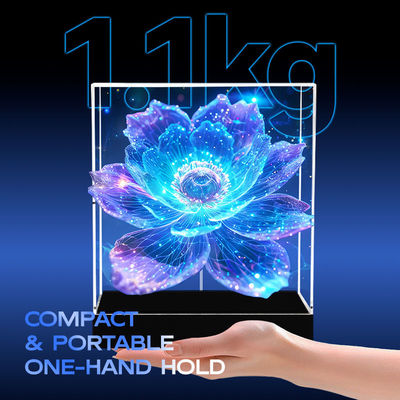 Formato contenuto MP4/AVI/RMVB/GIF/JEPG/PNG/MKV Ventola LED olografica 3D per dimostrazioni didattiche
