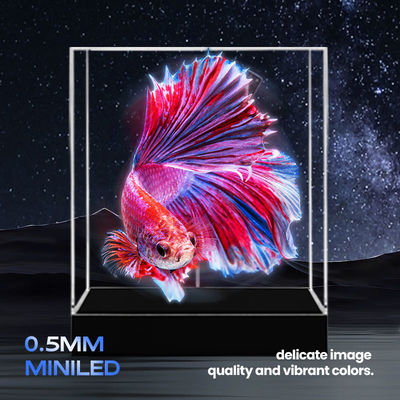 Servizio personalizzato 3D Hologram Fan LED Display Technology 5V 3A Input Voltage Resolution Display